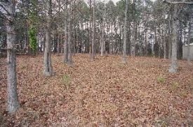 2062 Shull Island Lake Murray South Carolina