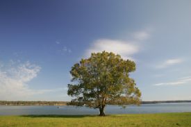 Waterfront Lake Greenwood Summer Pointe