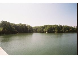 Lake Murray and HWY 378