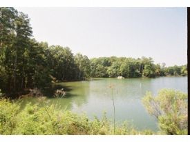 Lake Murray and HWY 378