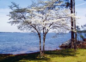 Turners Pointe Lake Murray